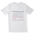 The If America Was A Guy Tee